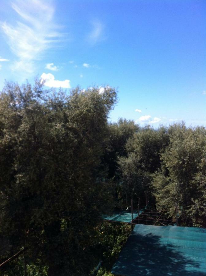 Casa Iolanda Villa Sorrento Bagian luar foto